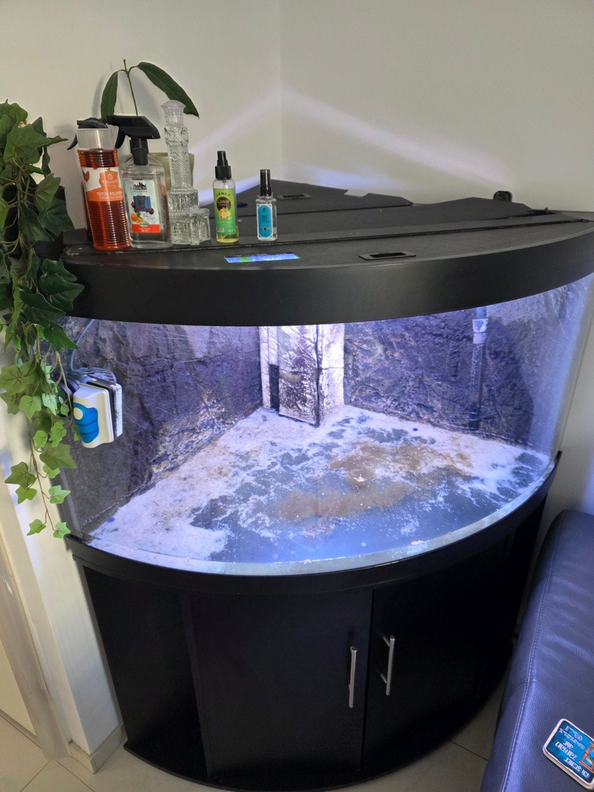 Juwel trigon 350 met kast, Dieren en Toebehoren, Ophalen, Gebruikt, Leeg aquarium, Verwarming