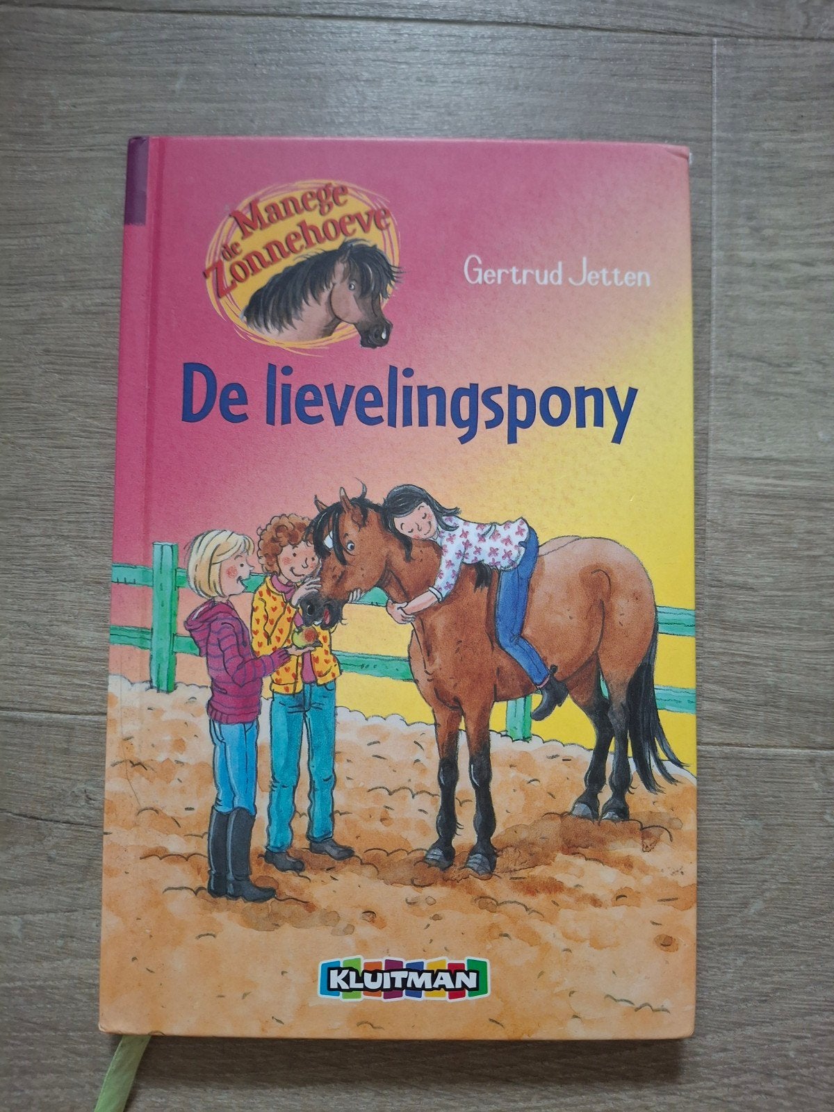 De lievelingspony - Gertrud Jetten (De Manege Zonnehoeve), Ophalen of Verzenden