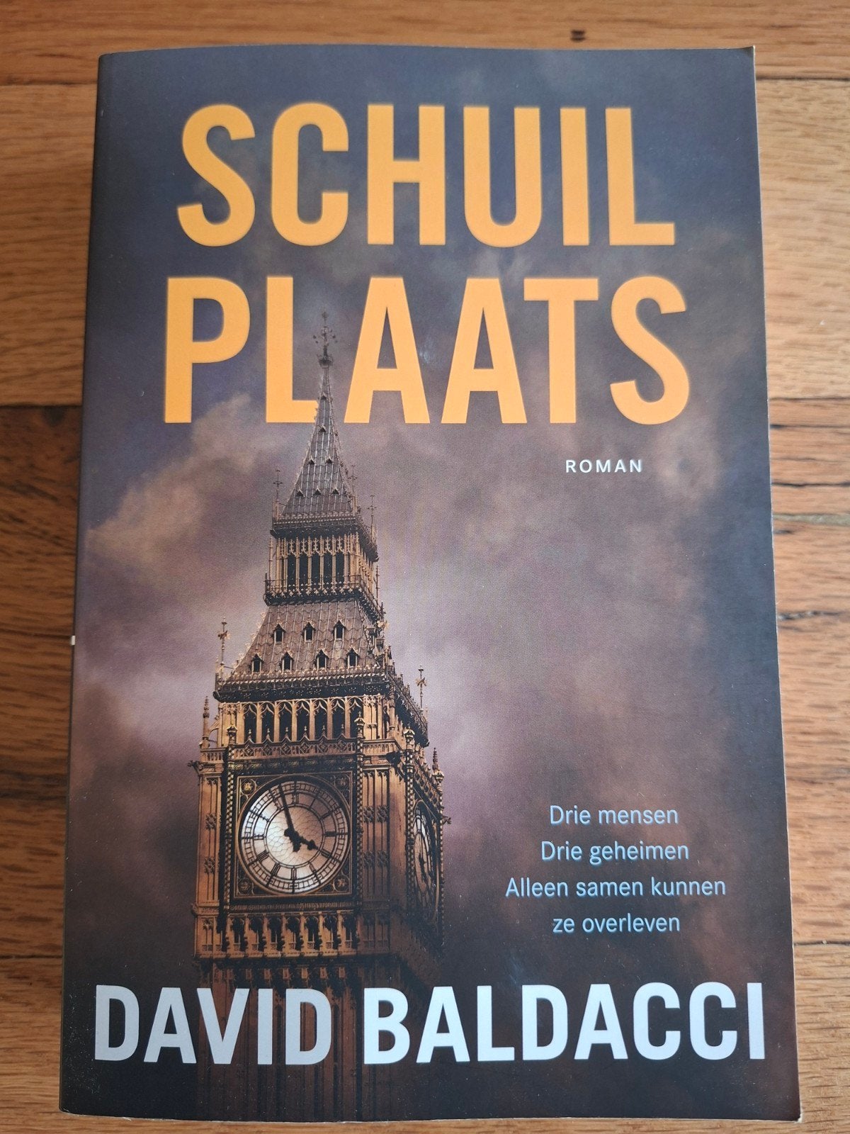 Schuilplaats - David Baldacci (Roman), Boeken, Ophalen of Verzenden, Zo goed als nieuw, David Baldacci, Wereld overig