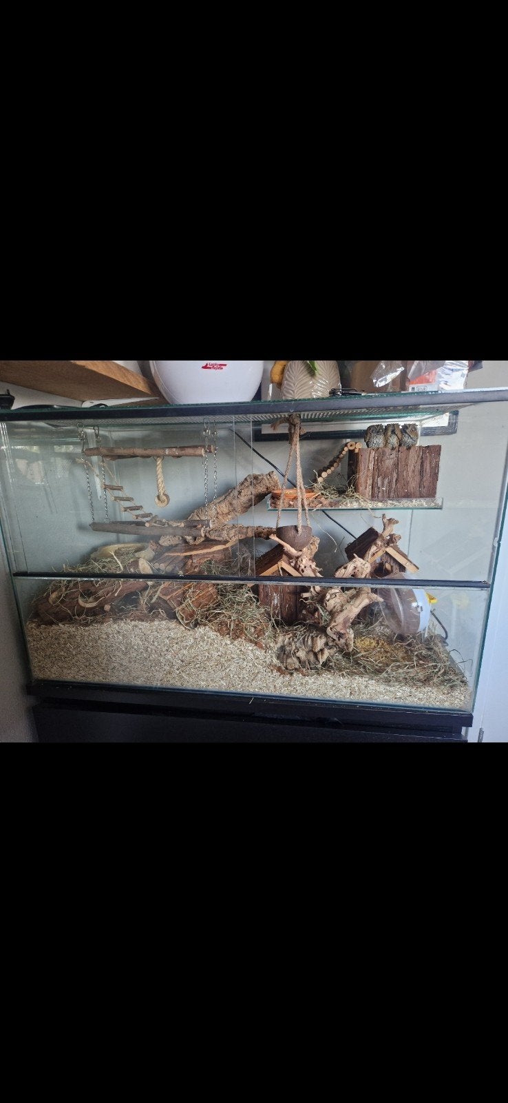 mooi terrarium, Overige typen, Zo goed als nieuw, Hamster, 75 tot 110 cm