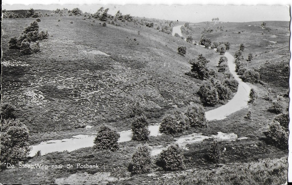 Q36 oude ansichtkaart de steeg weg naar posbank 1959, Verzamelen, Ansichtkaarten | Nederland, Verzenden, 1940 tot 1960, Gelopen