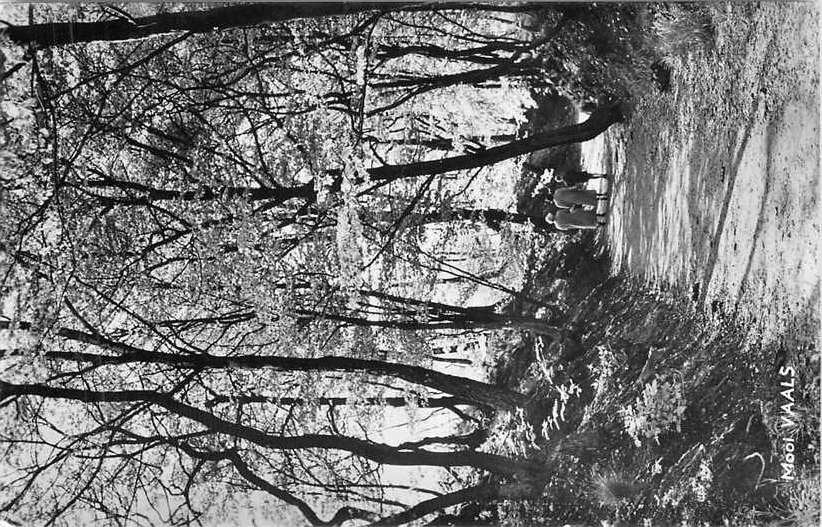 377-634-017 Vaals, Verzenden, Voor 1920, Limburg