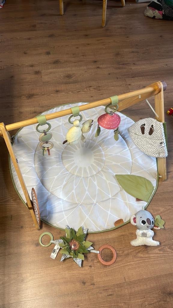 Prachtig speelset voor de baby van Tiny Love, Ophalen, Zo goed als nieuw