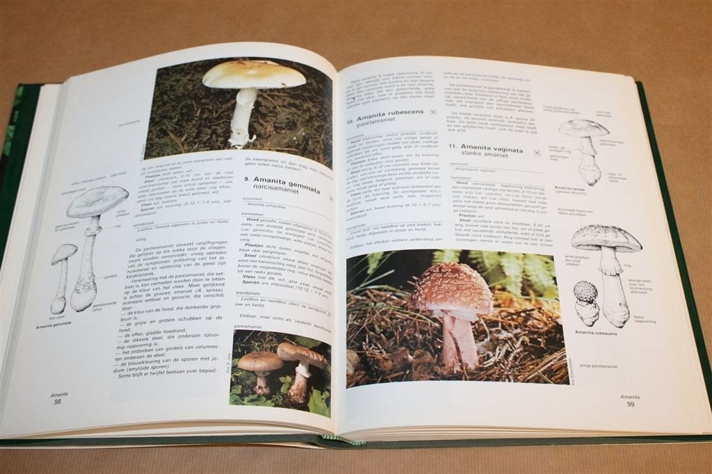 Larousse Paddestoelen Enc. — Mycotoxines en Determinatie, Ophalen of Verzenden, Zo goed als nieuw, Bloemen, Planten en Bomen