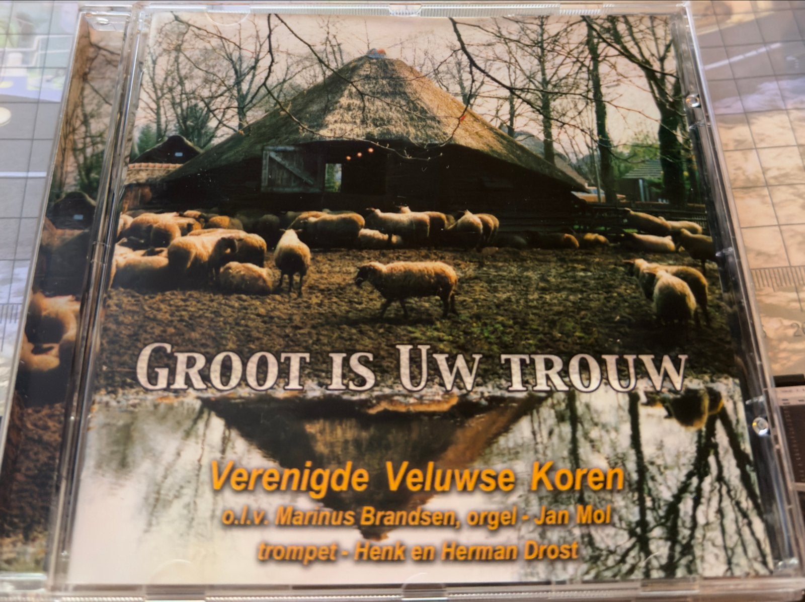 Groot is Uw Trouw - Verenigde Veluwse Koren CD, Gebruikt, Orgel, Geestelijke liederen, Ophalen of Verzenden