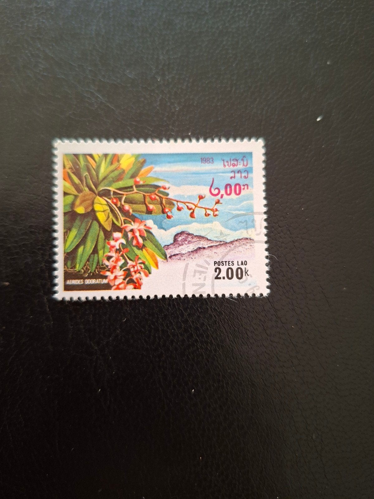 Bloemen.  Laos, Ophalen of Verzenden, Dier of Natuur