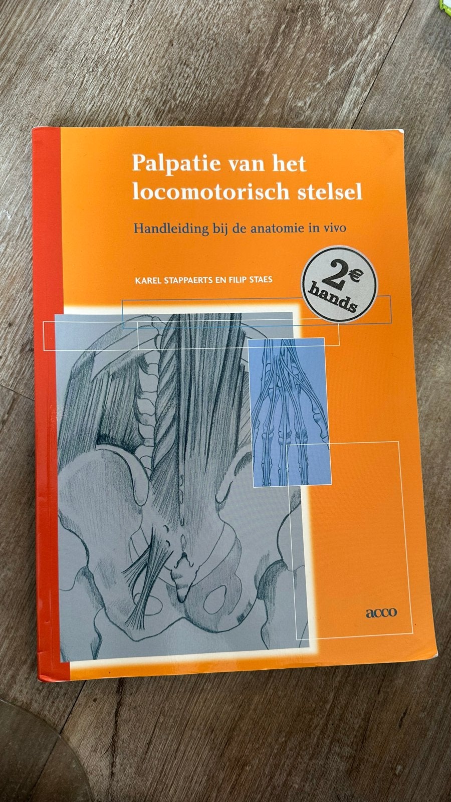 Palpatie van het locomotorisch stelsel - Fysiotherapie, Boeken, Ophalen of Verzenden, Gelezen, HBO