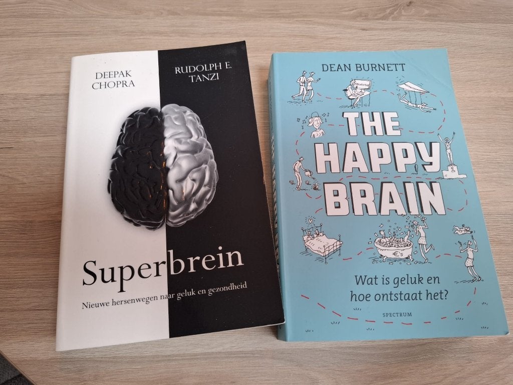 Boeken over het brein, Ophalen of Verzenden, Zo goed als nieuw, Cognitieve psychologie