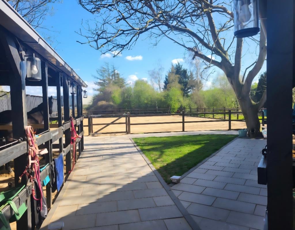 Paarden box te huur met overdekte uitloop, Dieren en Toebehoren, Stalling en Weidegang, Stalling