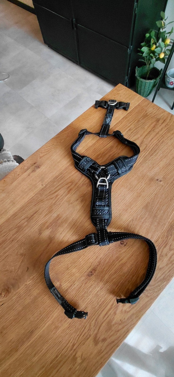 Honden tuig Royz maat L, Ophalen of Verzenden, Nieuw
