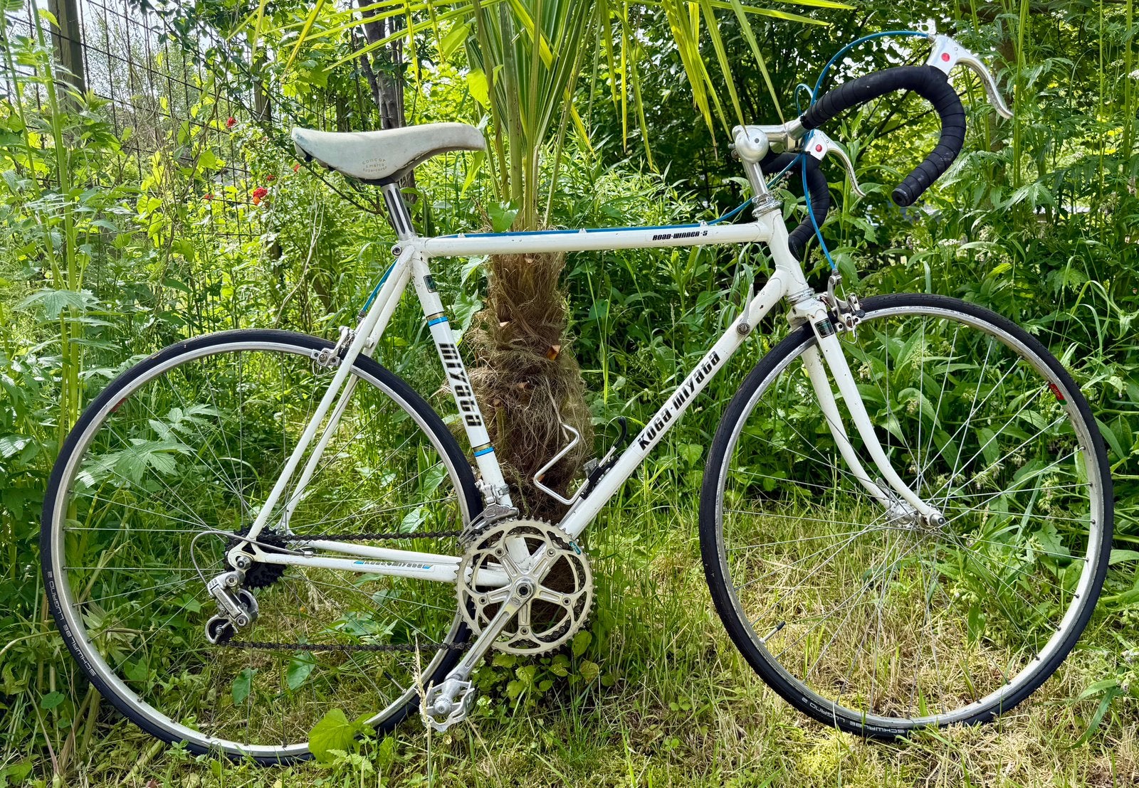 Koga Miyata  Road-winner-s, Ophalen, 28 inch, Gebruikt, Velgrem