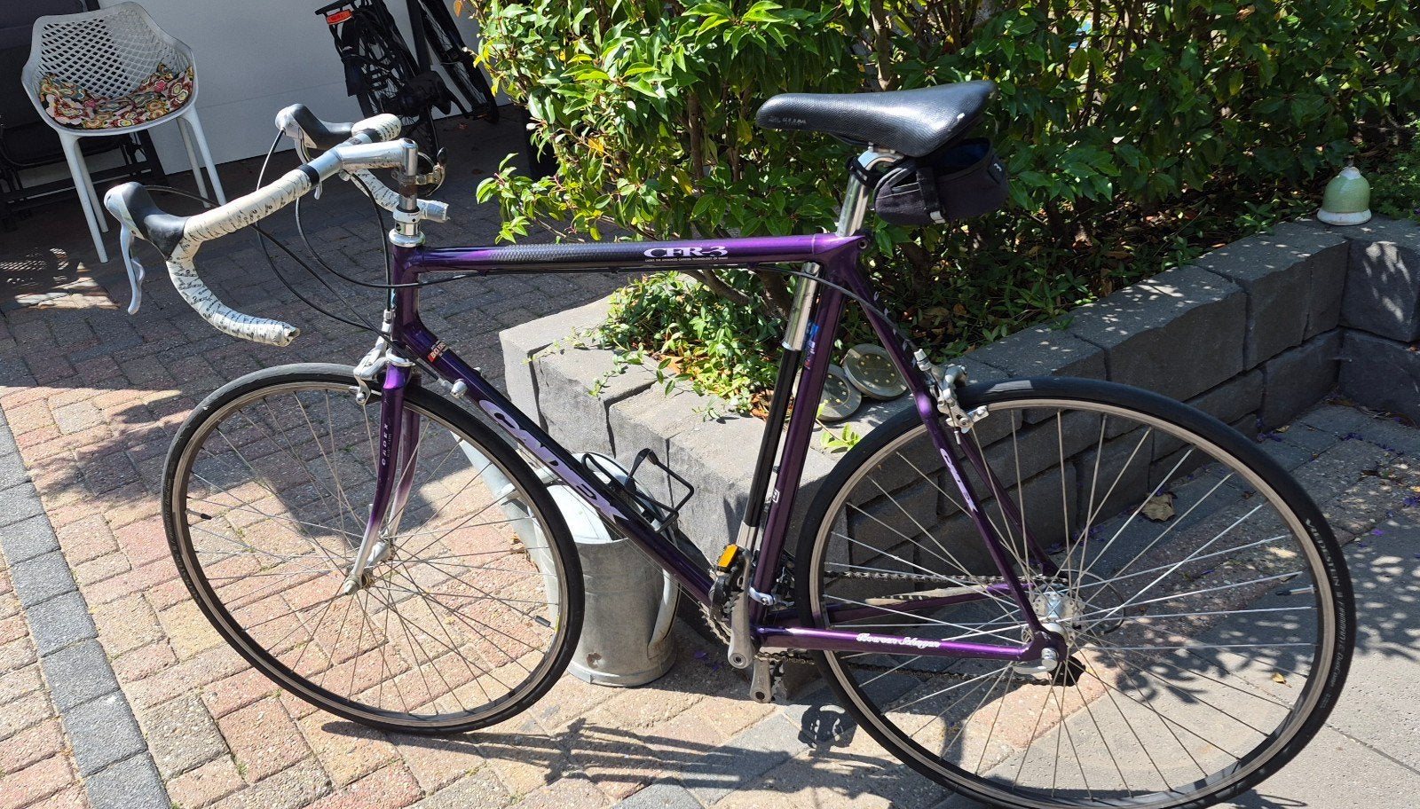 Giant CFR-3 Racefiets - Carbon Technologie - 610mm Frame, Fietsen en Brommers, Fietsen | Racefietsen, Ophalen