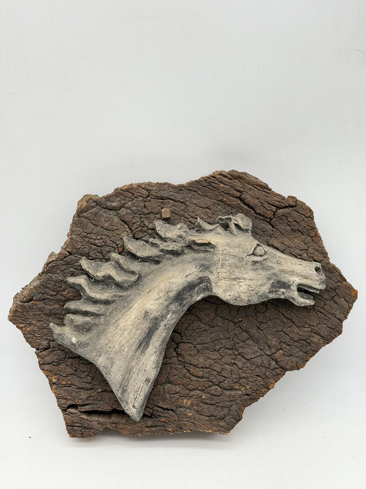 Uniek paardenhoofd wanddecoratie op kurk, Natuurlijk materiaal, Ophalen of Verzenden, Wanddecoratie, 20 - 50 cm