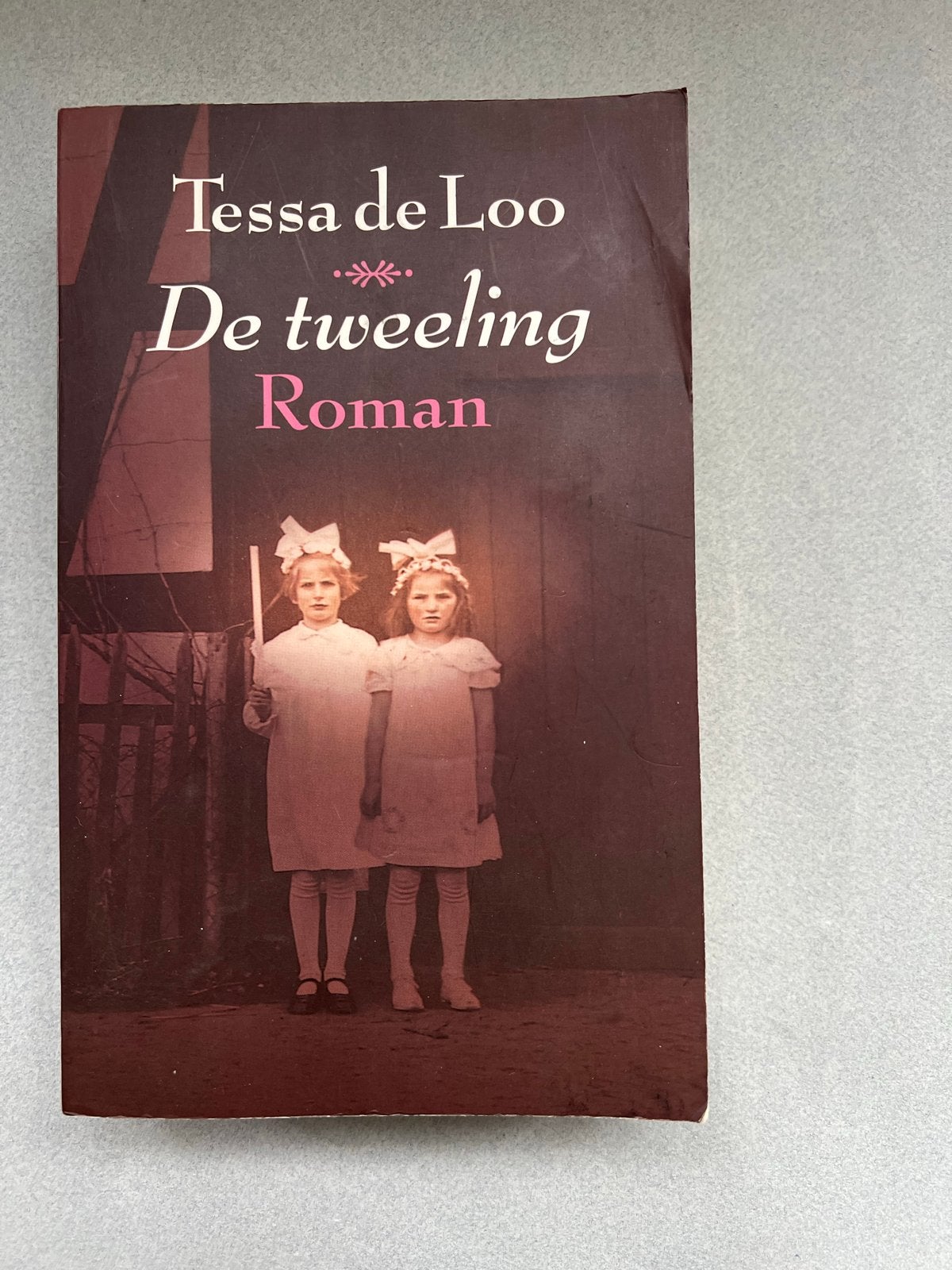 De Tweeling - Tessa de Loo (Roman), Ophalen of Verzenden, Gelezen