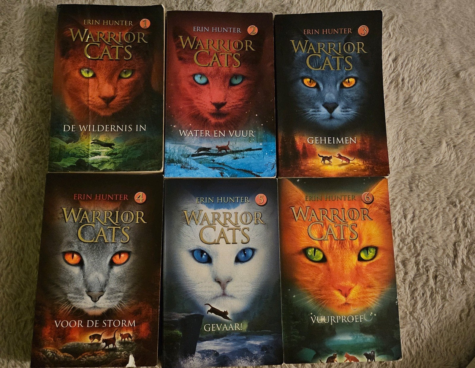 Warrior cats serie 1 compleet 2dehands in goede staat, Boeken, Ophalen, Gelezen, Erin Hunter