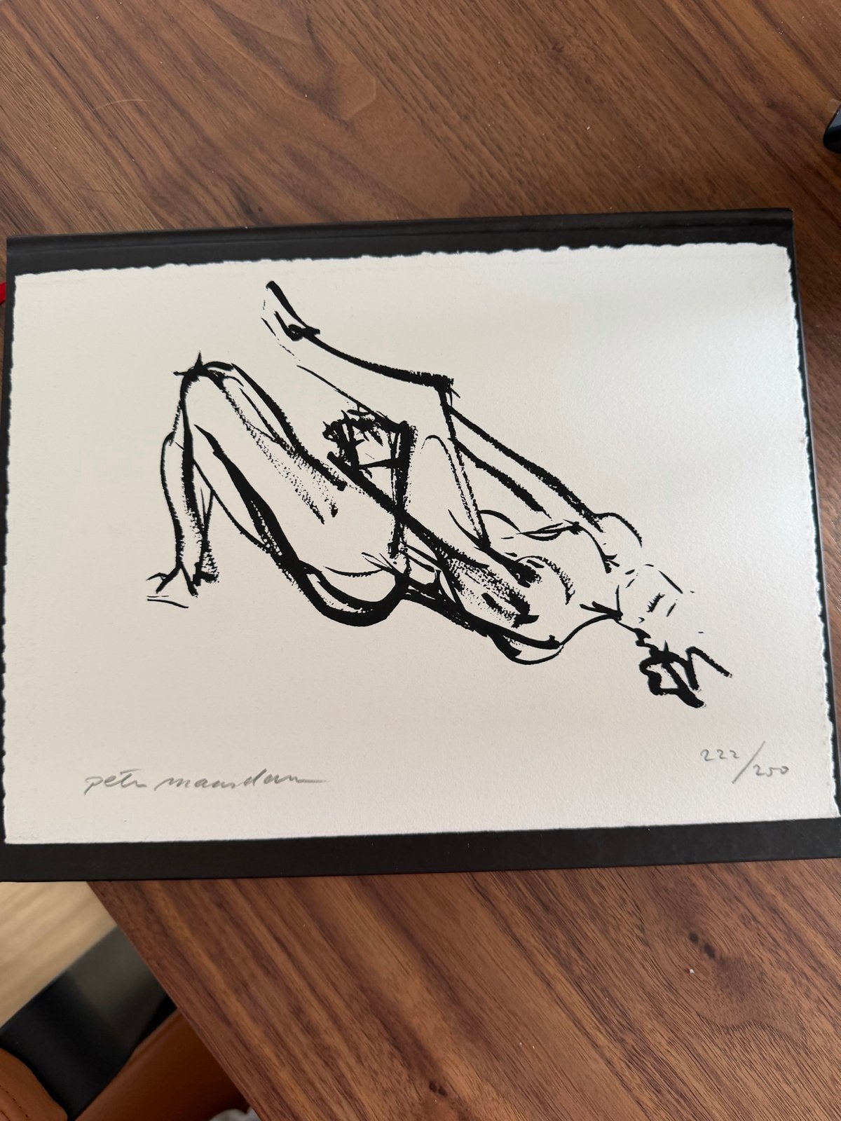 Kunstboek Dominique Chan met zeefdruk Peter Maasdam (222/250, Antiek en Kunst, Ophalen of Verzenden, Zeefdruk, Genummerd, 2000 tot heden