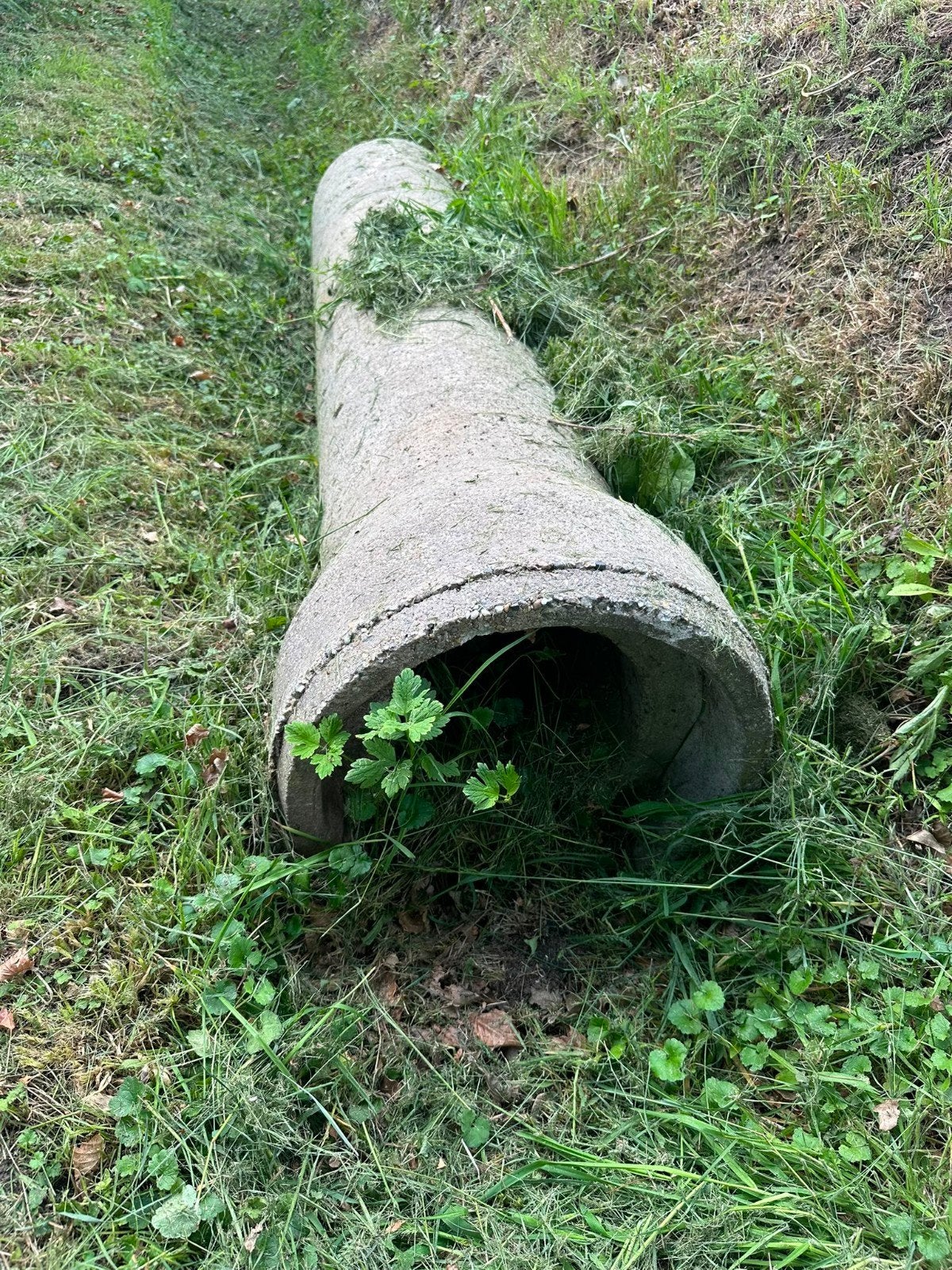 Betonnen duiker diameter 500-600mm, Doe-het-zelf en Verbouw, Buizen en Afvoer, Gebruikt, Minder dan 20 mm, 2 tot 4 meter, Ophalen of Verzenden