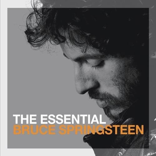 Bruce Springsteen – The Essential Bruce Springsteen, Ophalen of Verzenden, Zo goed als nieuw, Poprock
