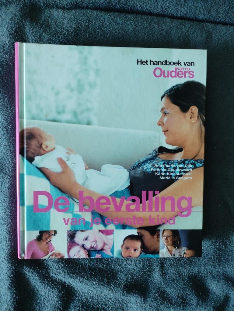 De bevalling van je eerste kind, Ophalen of Verzenden, Gelezen, Zwangerschap en Bevalling, Annemarie van Dijk, Femke Goudswaard, Karin Snel