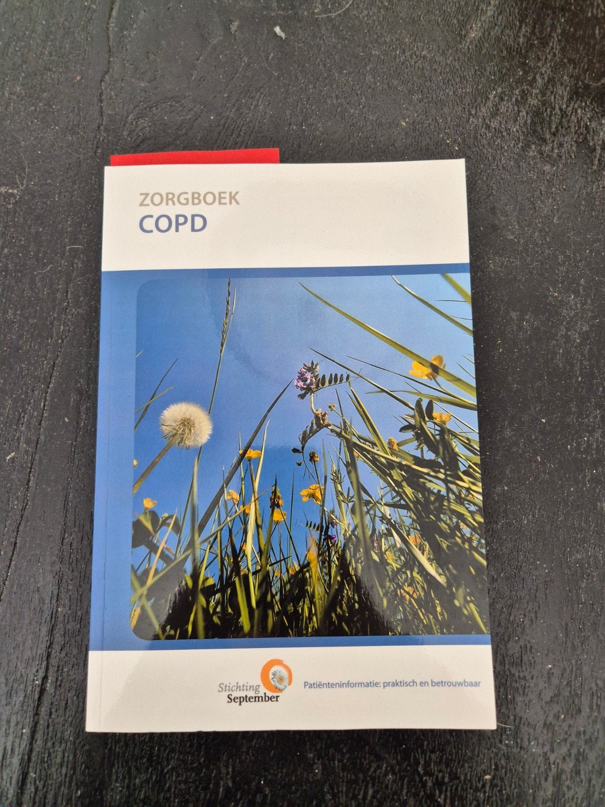 Zorgboek COPD - Patiënteninformatie Stichting September, Boeken, Ophalen of Verzenden, Zo goed als nieuw, Ziekte en Allergie, Stichting September