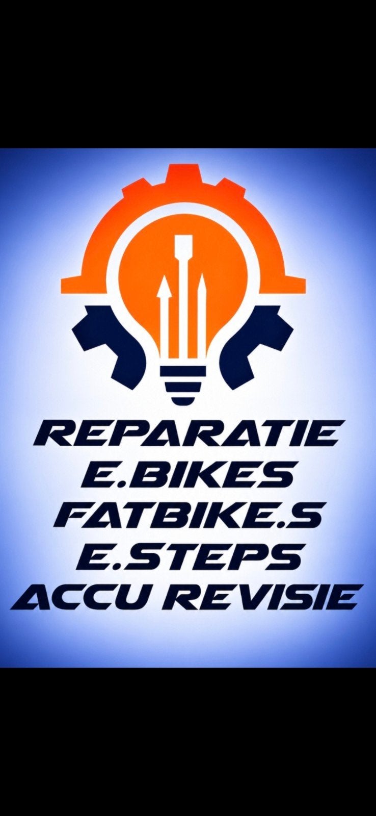 reparatie , Fatbike, E, bikes   ACCU revisie, Ophalen of Verzenden, Gebruikt, Overige merken