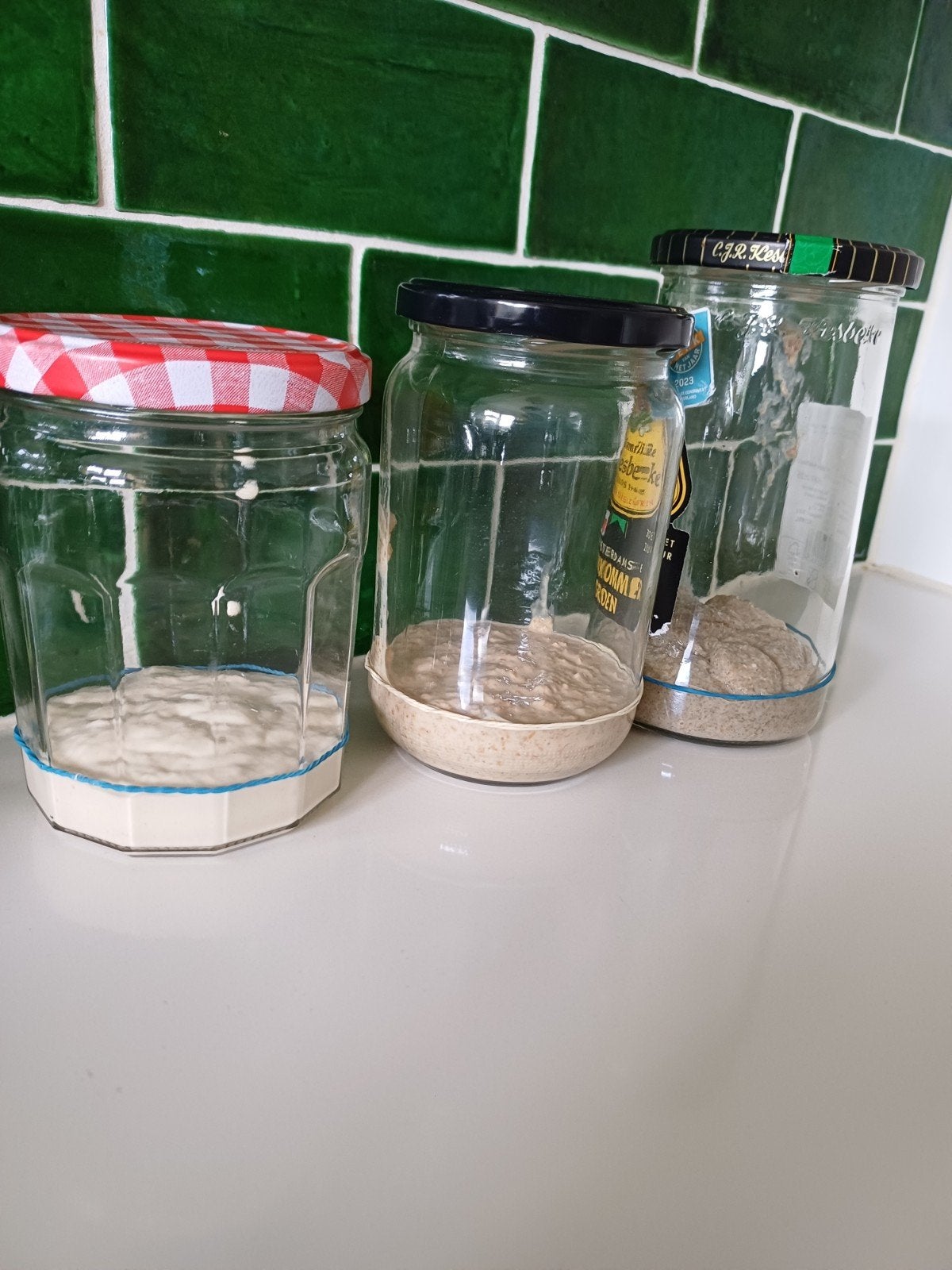 Zuurdesem starter, Ophalen