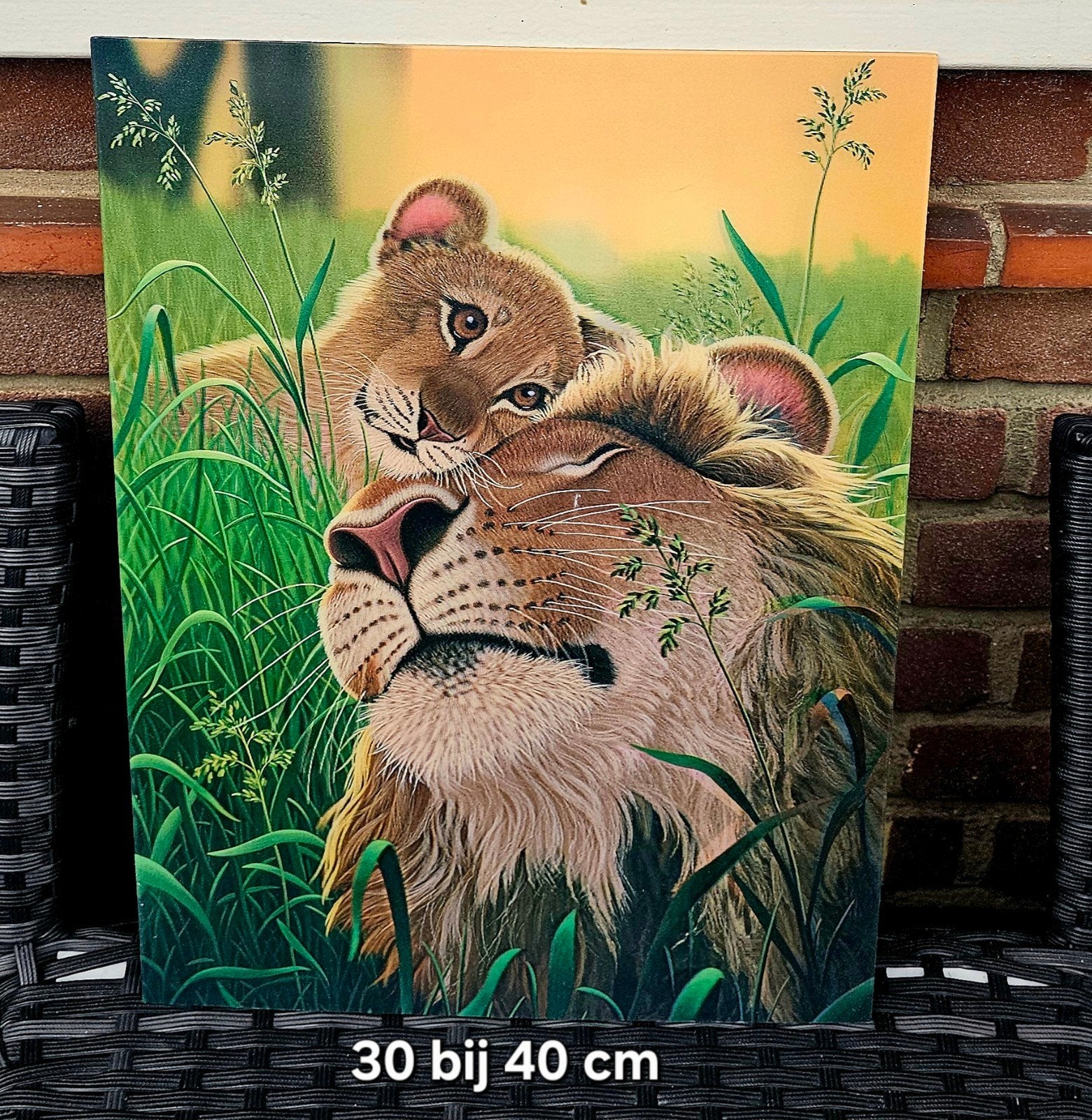 Leeuwenposter op karton - 30x40 cm, Ophalen of Verzenden