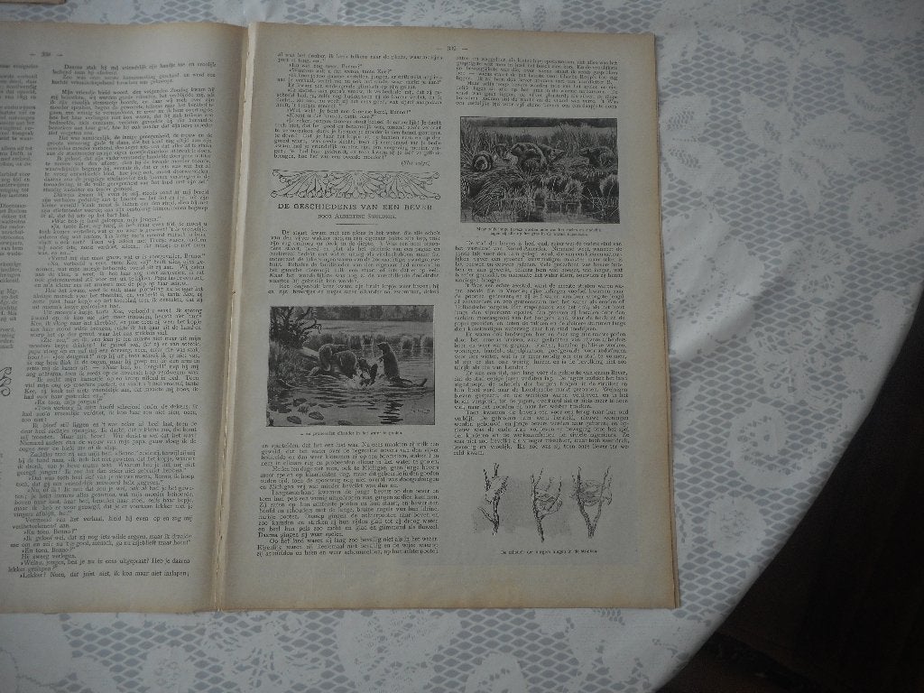 De geschiedenis van een bever. 1904., Ophalen of Verzenden, Voor 1920, Knipsel(s)