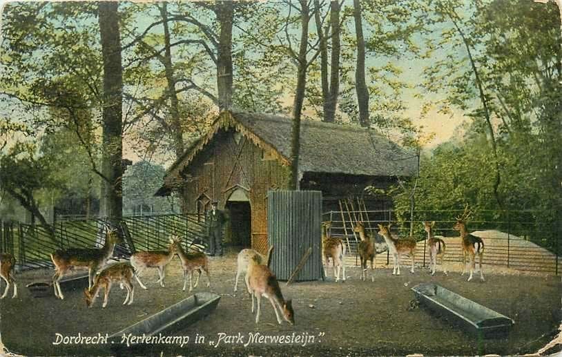 380-923-043 Dordrecht Park Merwestein, Verzenden, Voor 1920, Zuid-Holland