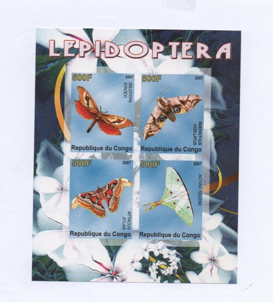 Vlinders - du Congo 2007 - Postfris mint ( ongeperforeerd )B, Verzenden, Postfris, Dier of Natuur