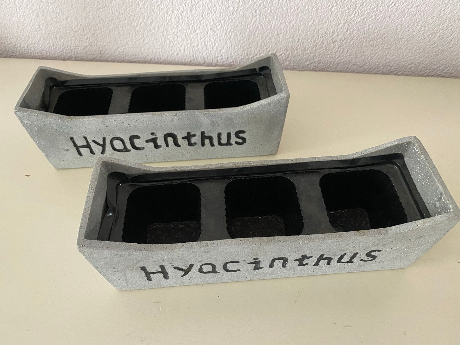 Hyacinthus bloembakjes  van beton met plastic inzet, Tuin en Terras, Minder dan 30 cm, Minder dan 60 cm, Ophalen of Verzenden