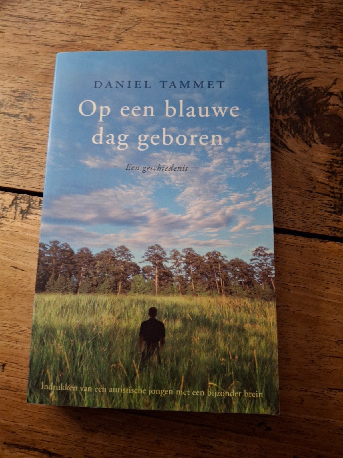Daniel Tammet - Op een blauwe dag geboren, Ophalen of Verzenden, Zo goed als nieuw, Daniel Tammet