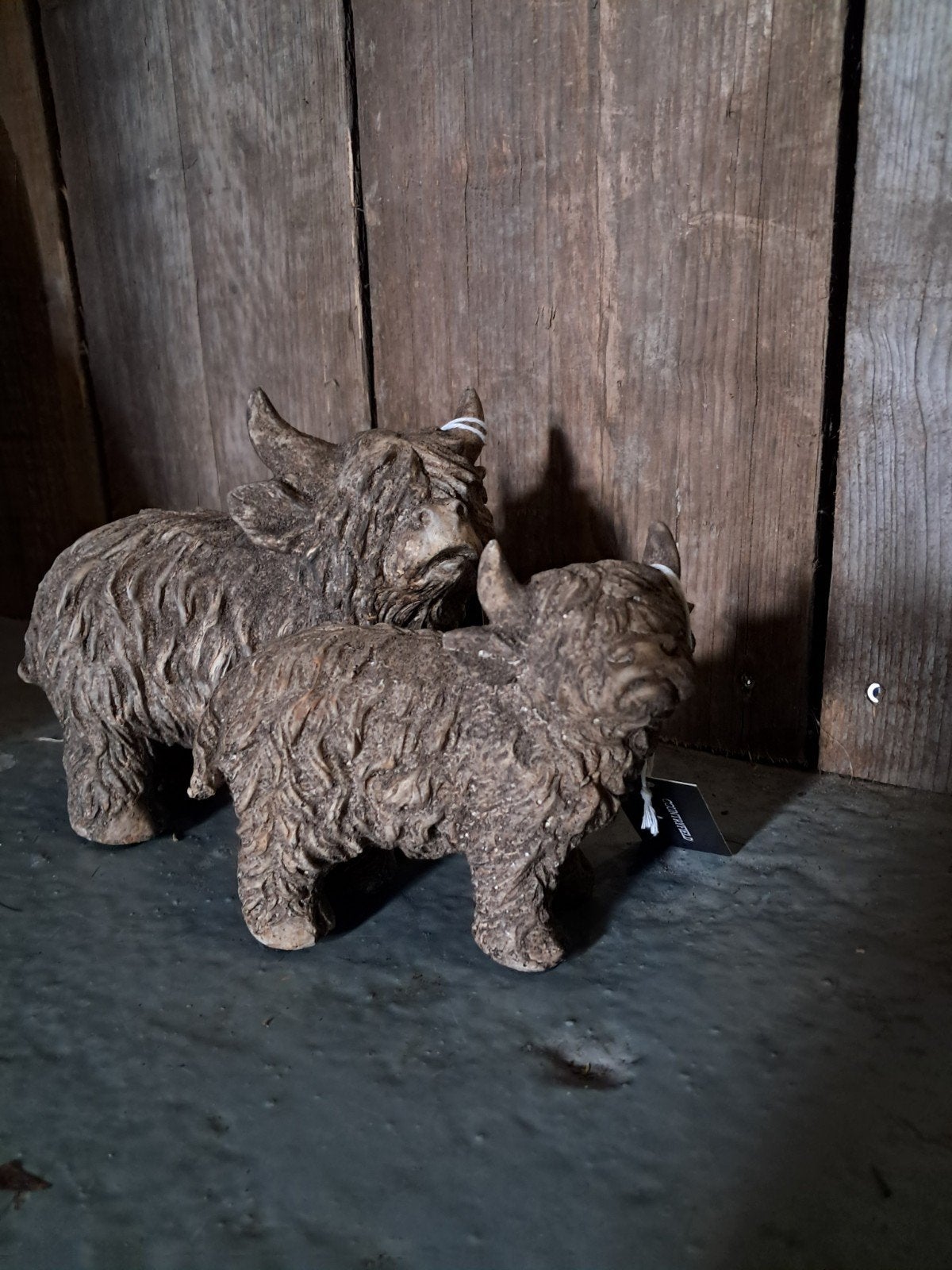 Hooglanders staand 
- €9,99 p.s.
- €14,99 p.s., Verzamelen, Ophalen of Verzenden, Nieuw, Dier