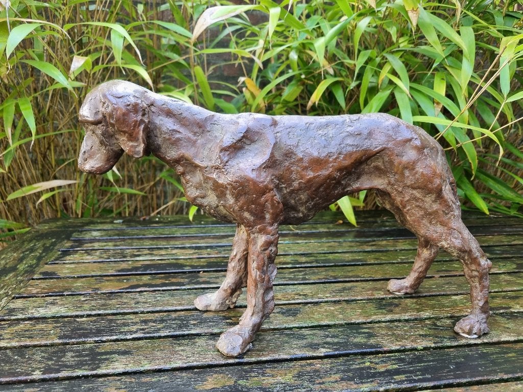 Zwaar Bronzen beeld:  Oude Ierse Setter, Ophalen of Verzenden, 20 - 50 cm, Beeld, Bruin
