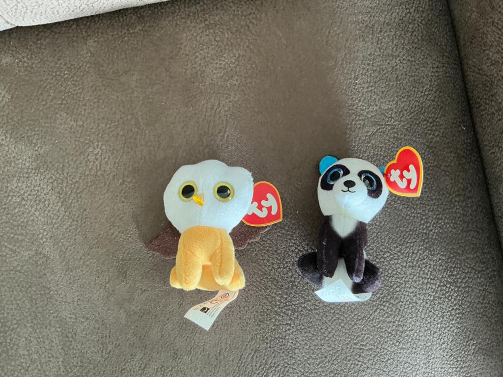 Ty Teenie Beanie Boos knuffels - uil Austin+panda Ming (KWF), Ophalen of Verzenden, Nieuw