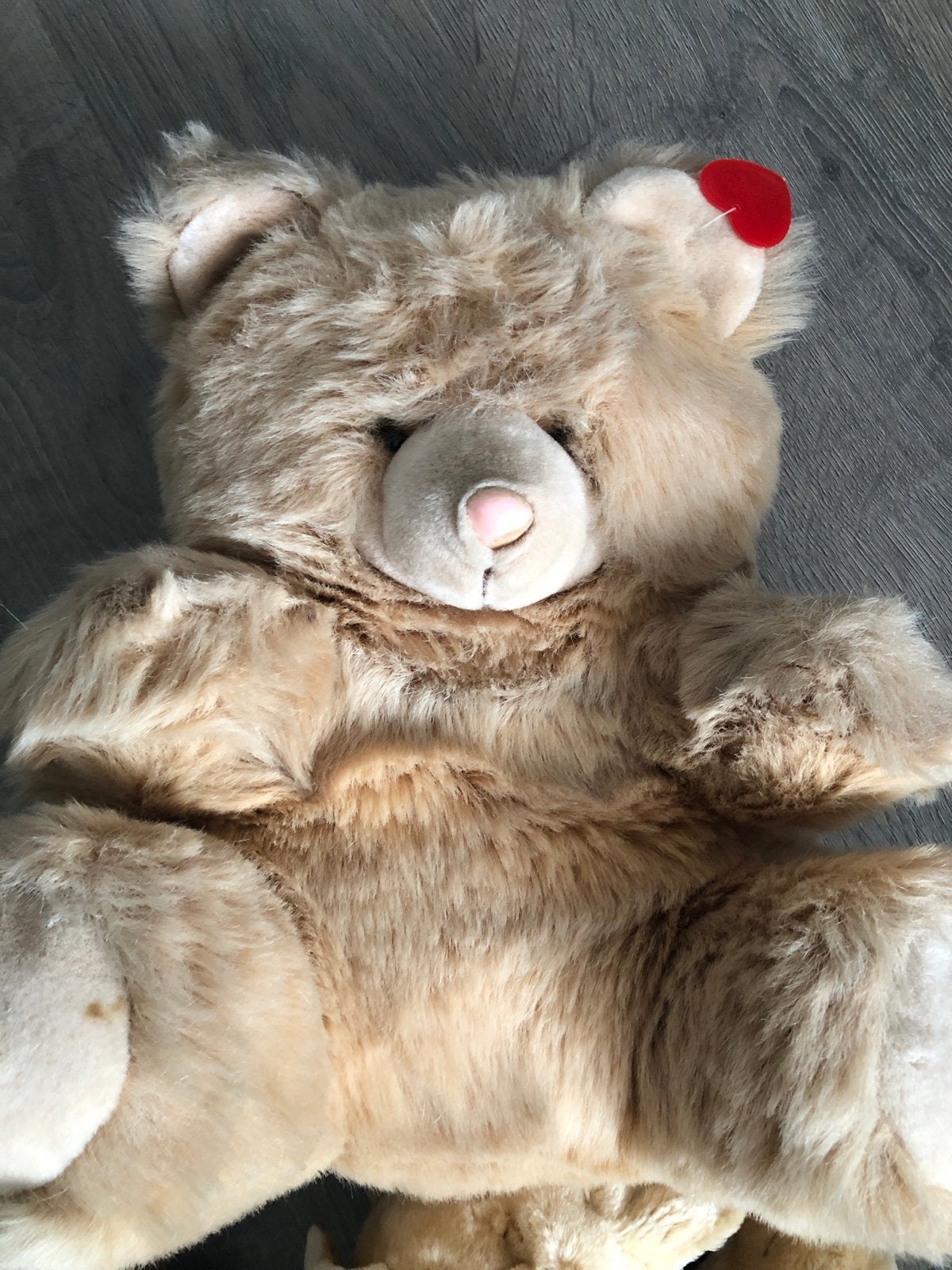 Grote Tiamo knuffelbeer - Zo goed als nieuw, Overige karakters, Beer, Ophalen of Verzenden, Middelgroot (20 tot 80 cm)