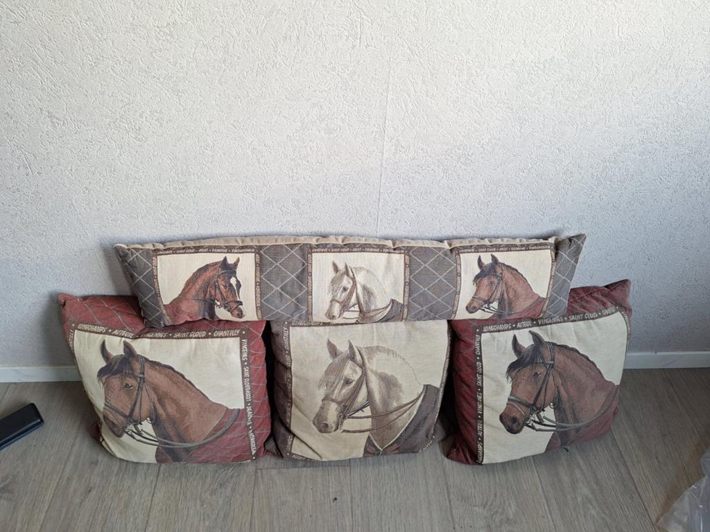 Decoratieve kussens met paardenmotief, Ophalen of Verzenden, Gebruikt, Bruin, Rechthoekig