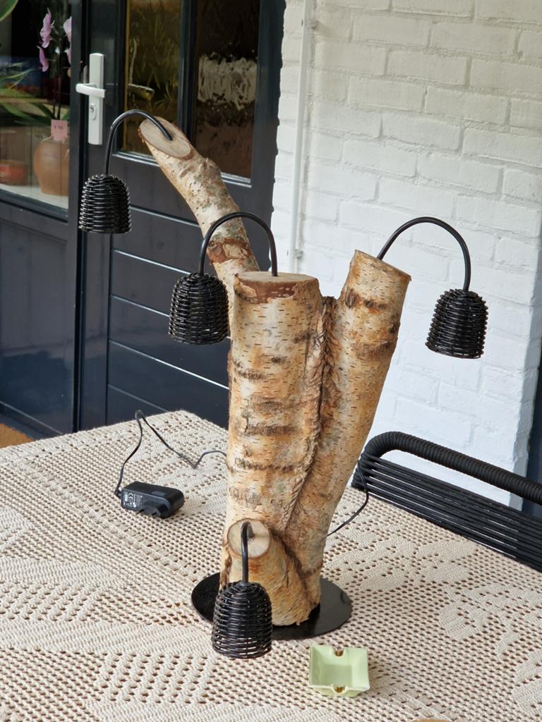 Excentrieke en exclusieve design tafellamp, Ophalen
