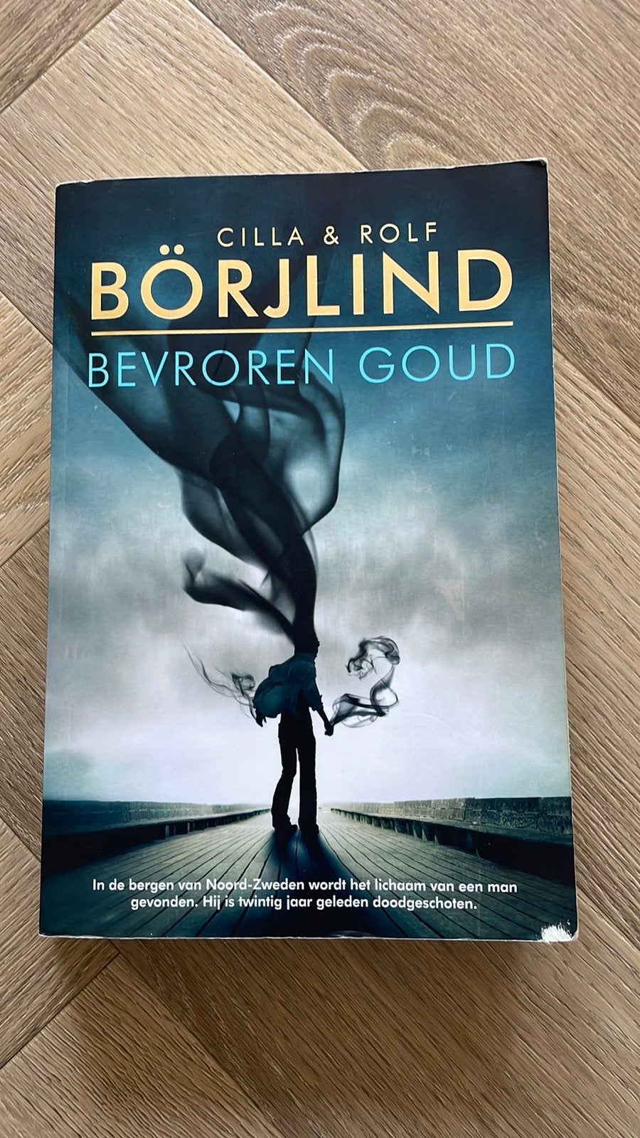 Cilla Börjlind - Bevroren goud, Boeken, Thrillers, Ophalen, Zo goed als nieuw, Cilla Börjlind; Rolf Börjlind