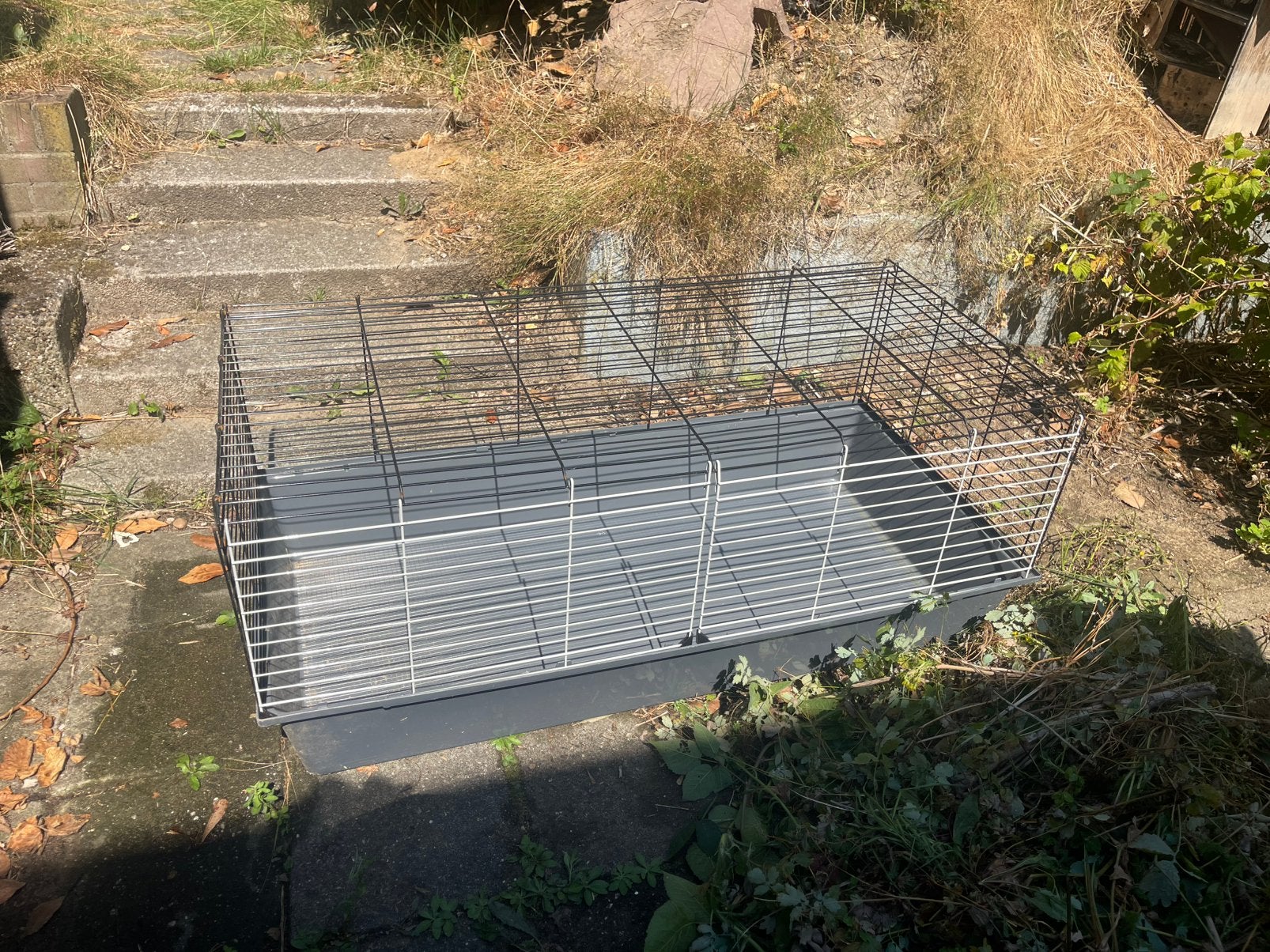 Knaagdier hok/huis cavia/konijn, Rat, Hok, Ophalen, Minder dan 60 cm
