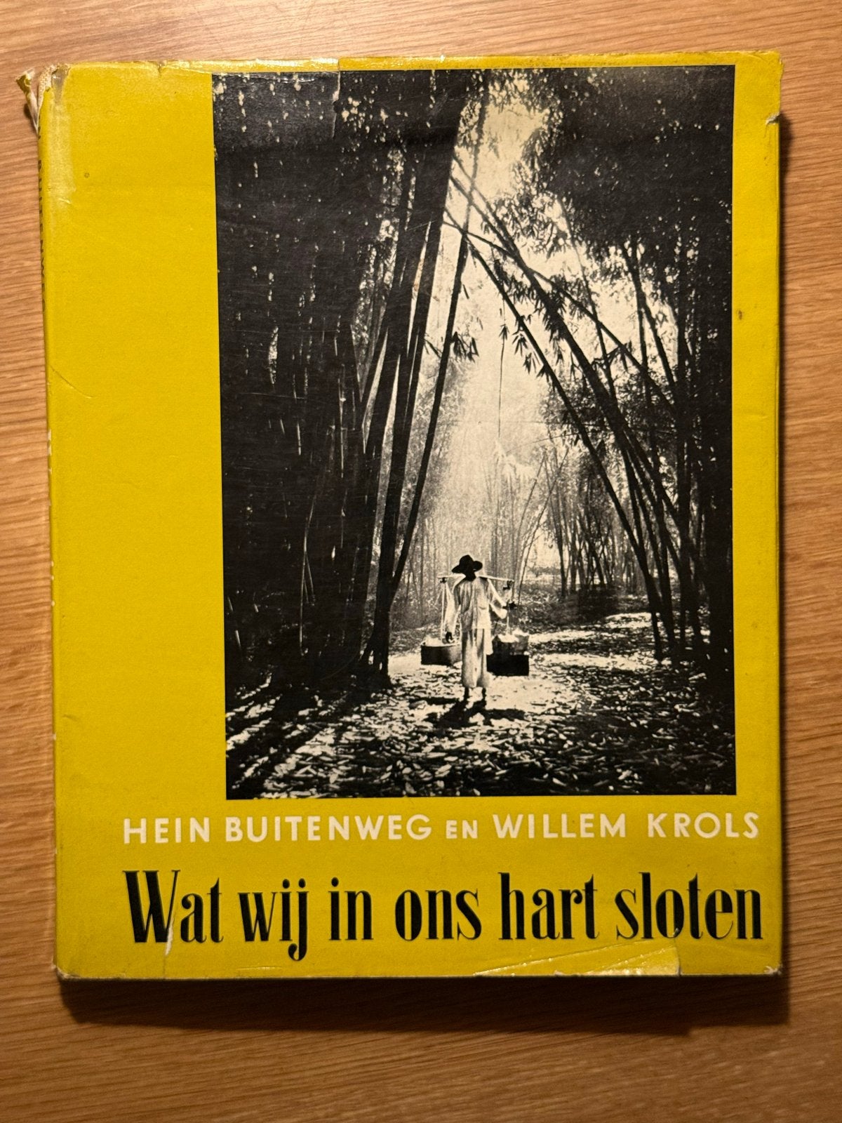 Wat wij in ons hart sloten - Hein Buitenweg & Willem Krols, Boeken, Ophalen of Verzenden, Gelezen, Nederland