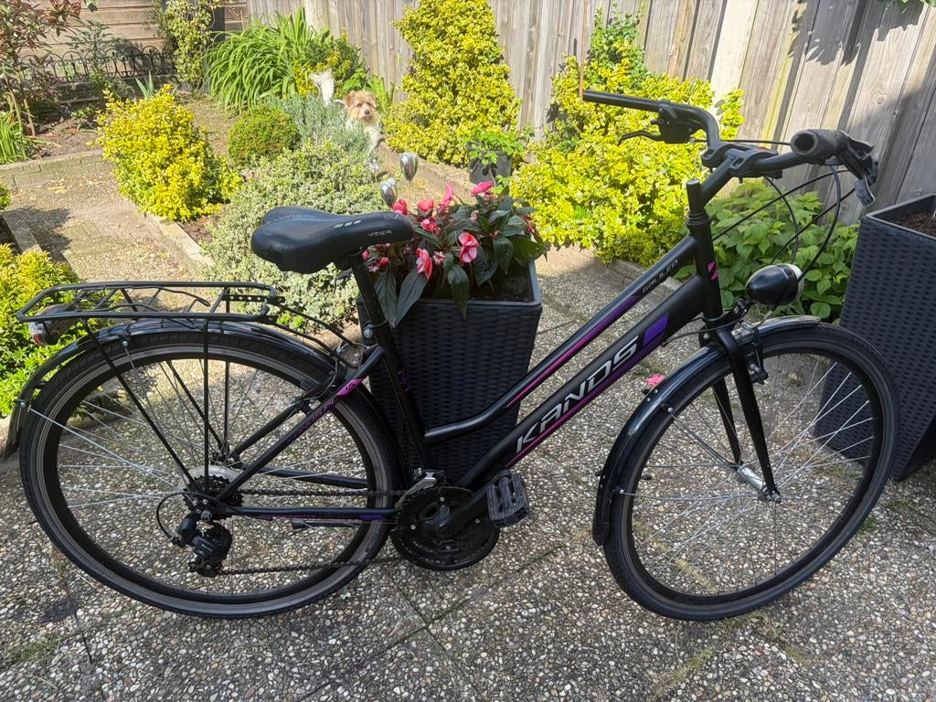 Dames fiets, Ophalen, Gebruikt, Overige merken, Versnellingen