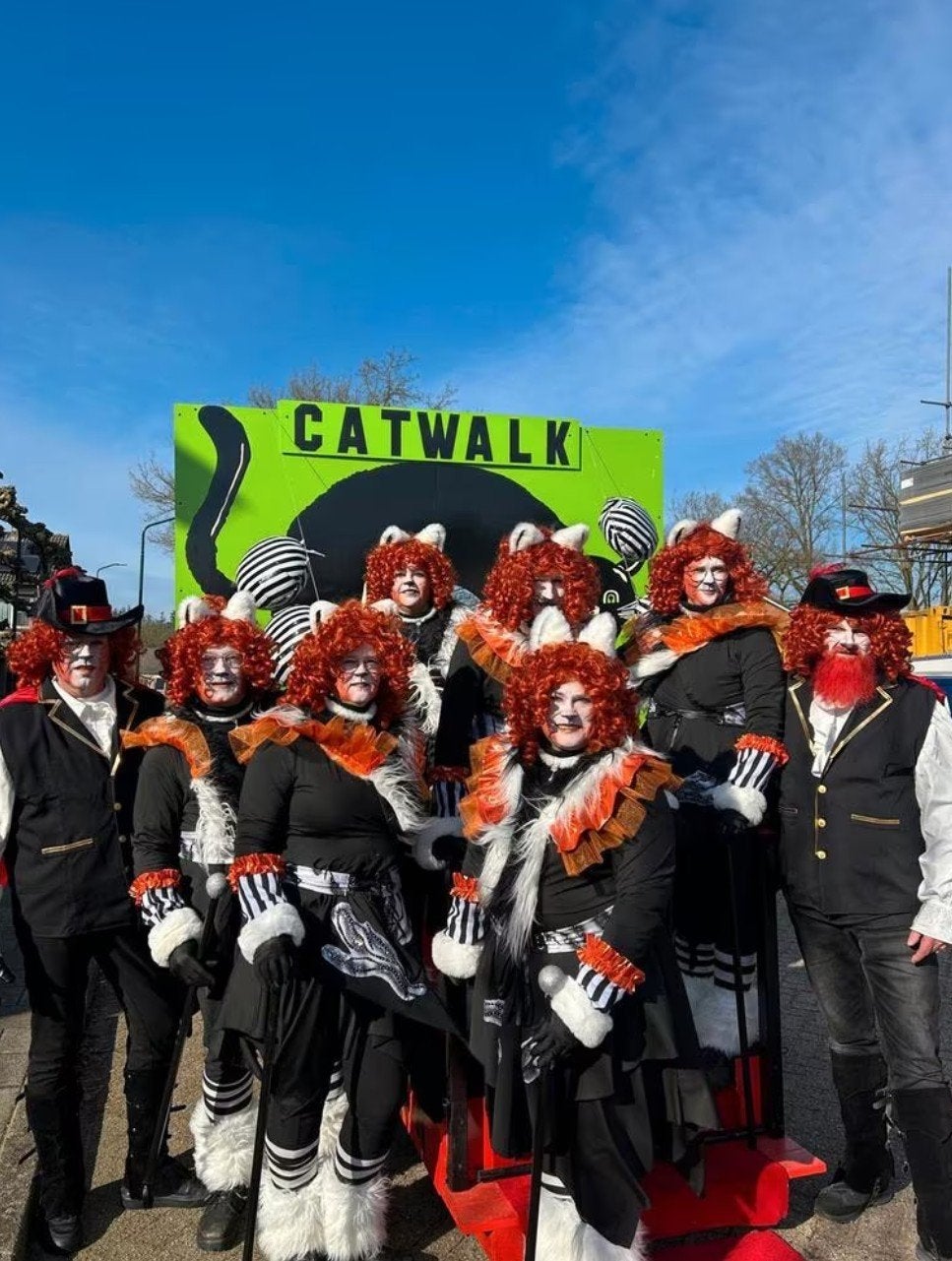 Unieke loopgroep carnavalsoptocht – Catwalk – 8 personen, Ophalen, Zo goed als nieuw, Overige typen, Carnaval