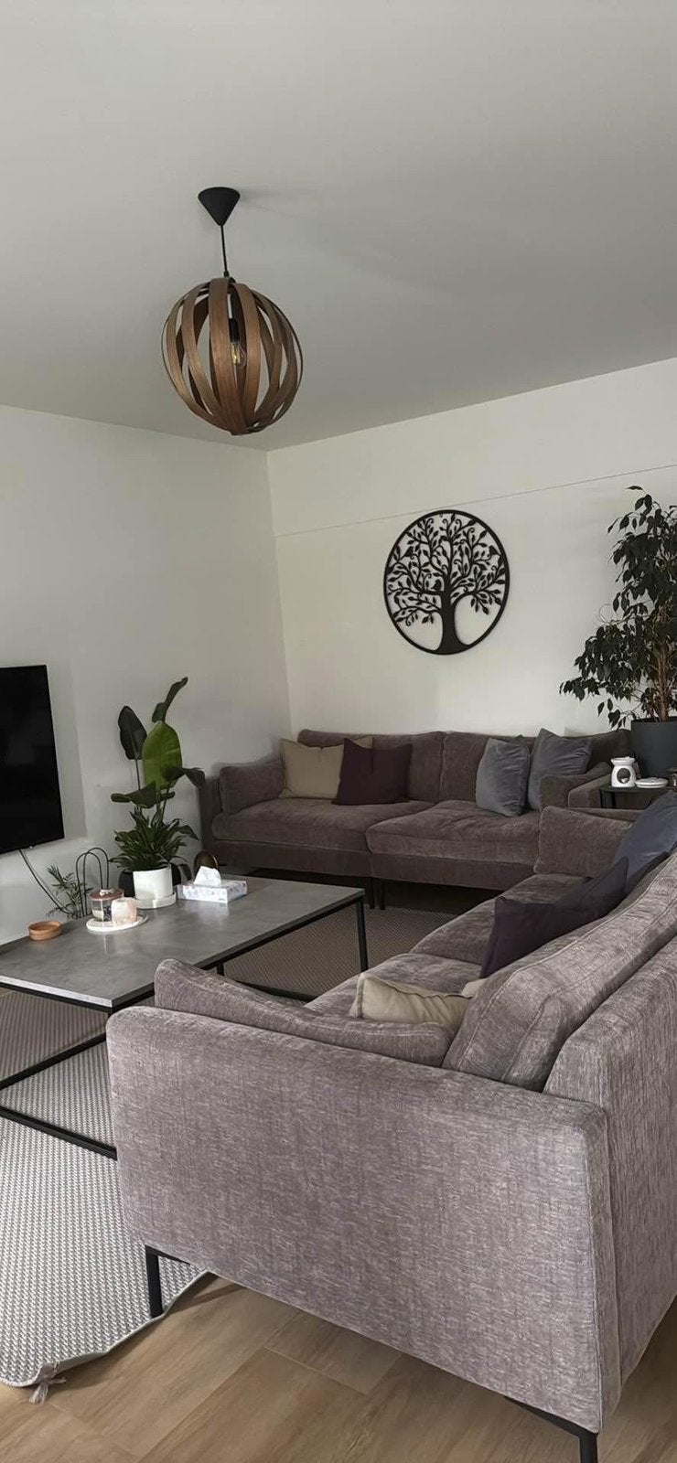Kamer in Haarlem, Huizen en Kamers, Haarlem