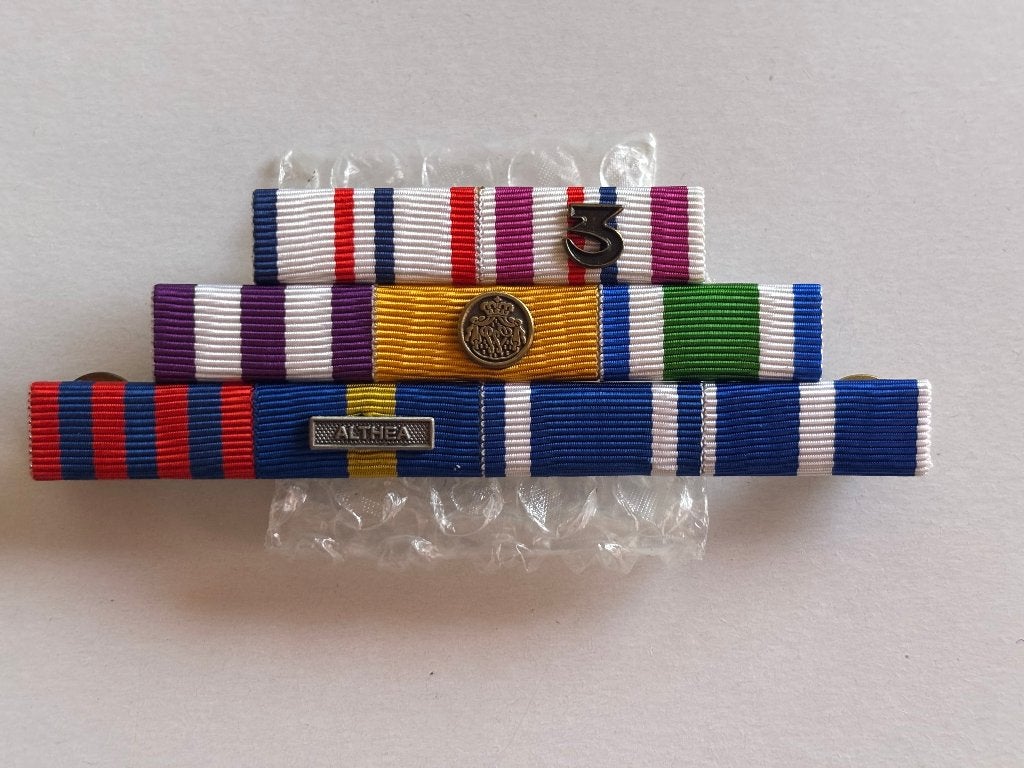 9 delige baton set 3, Verzenden, Landmacht, Nederland, Kleding of Schoenen