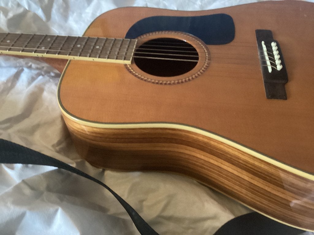 Hele mooie Washburn steelstring gitaar uit 2006’ d10s, Ophalen, Zo goed als nieuw, Western- of Steelstringgitaar, Met koffer