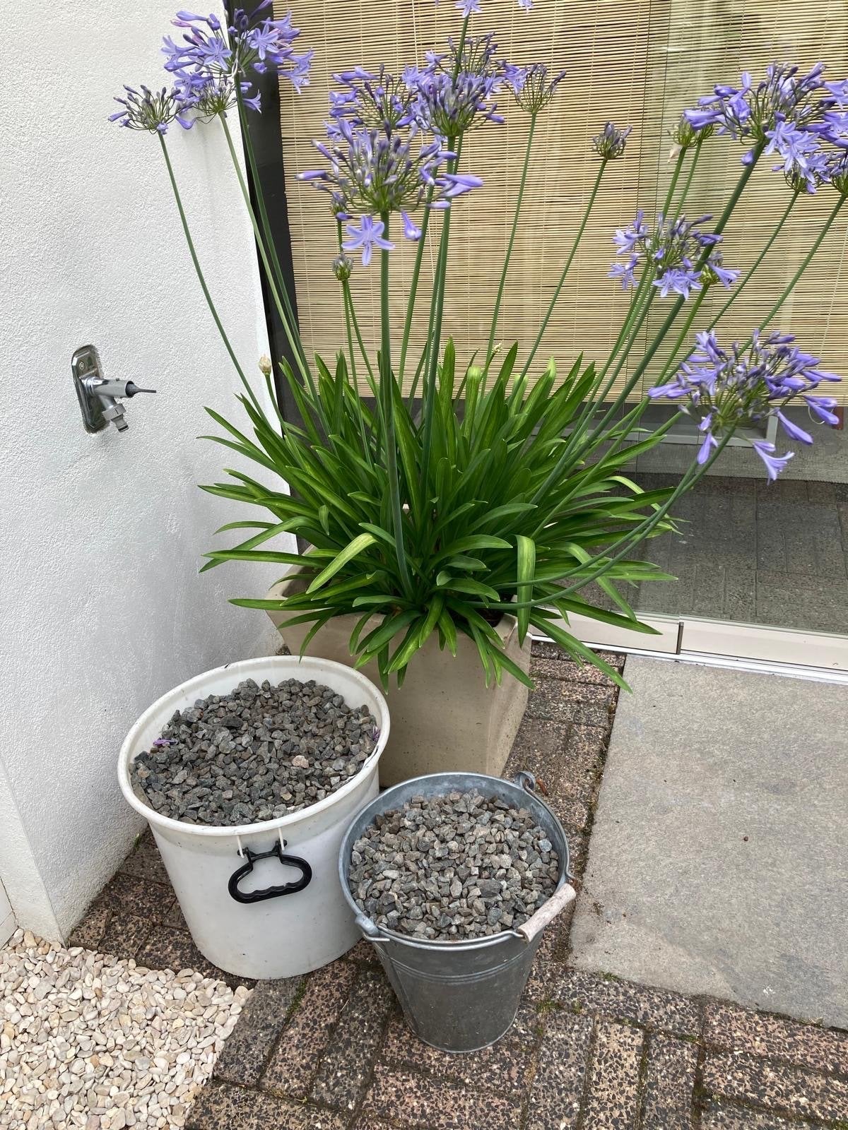 Antracietgrijze Basalt Split - Decoratieve Grind, Tuin en Terras, Ophalen of Verzenden, Gebruikt, Overige typen