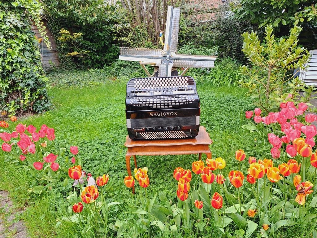Accordeon CRUCIANELLI MAGICVOX DO3/bgriff akordeon, Muziek en Instrumenten, Met koffer, Ophalen of Verzenden, Knopaccordeon, 120-bas