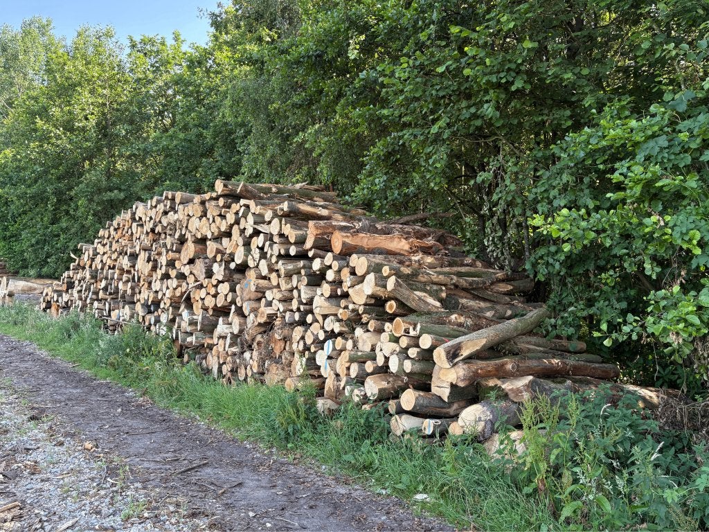 Brandhout in bulk voor grootverbruikers | vanaf 50 stère, Tuin en Terras, Haardhout, 6 m³ of meer, Verzenden, Beukenhout, Stammen