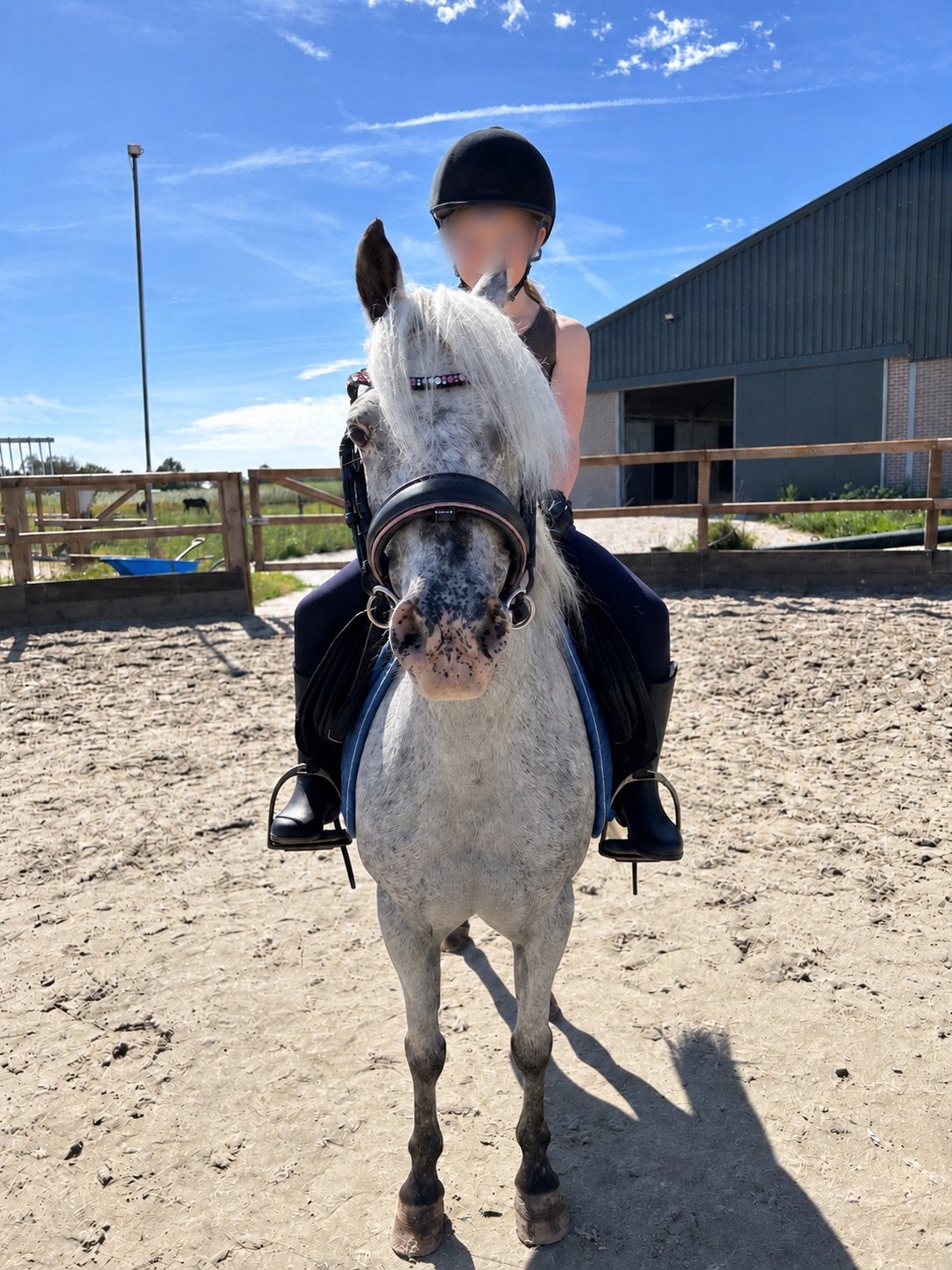 Lieve kinder pony, Dieren en Toebehoren, Pony's, Merrie, Met stamboom, Niet van toepassing, A pony (tot 1.17m)